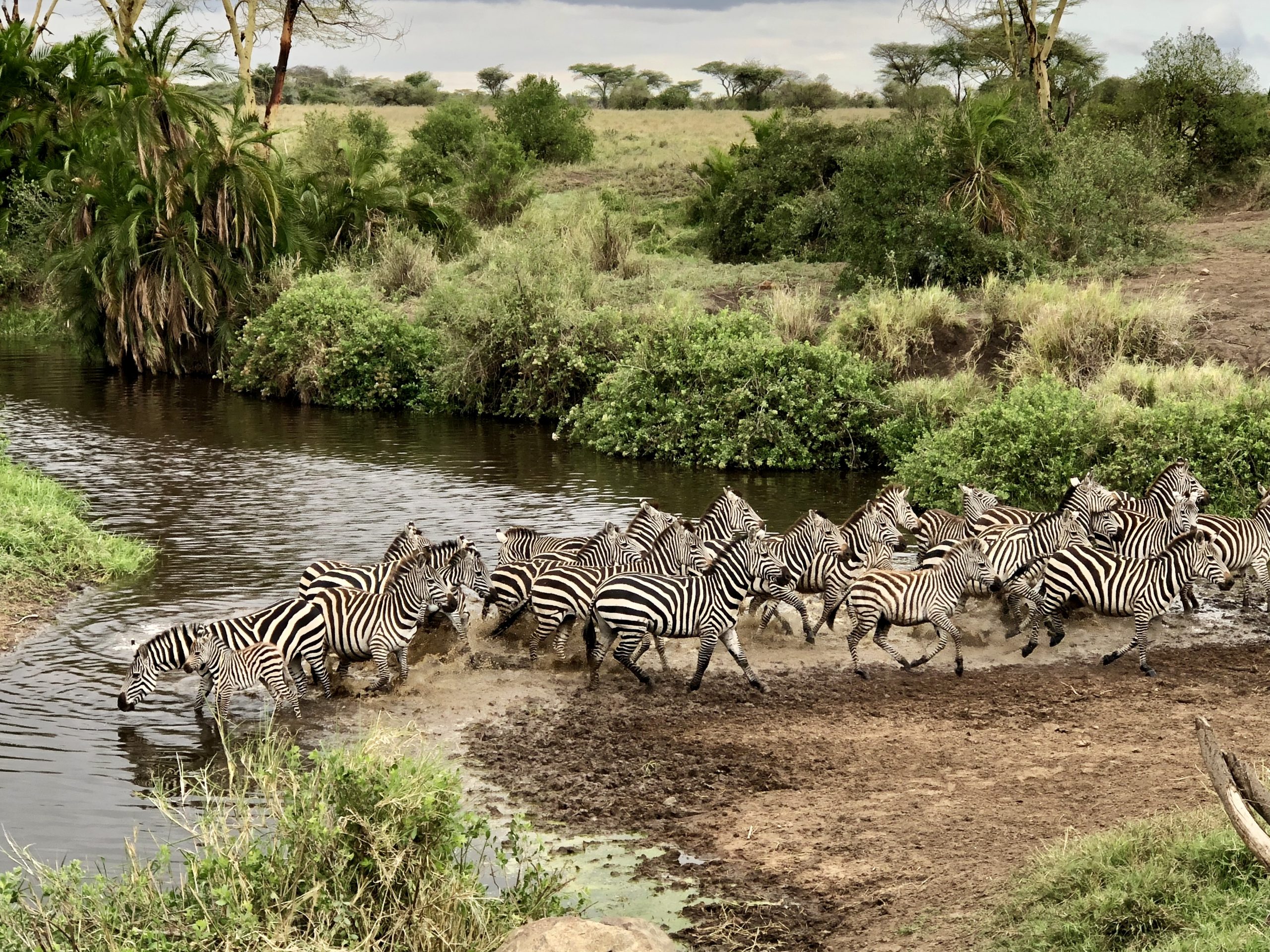 7 Days Tanzania Culture And Wildlife Safari – African Mangu Safaris